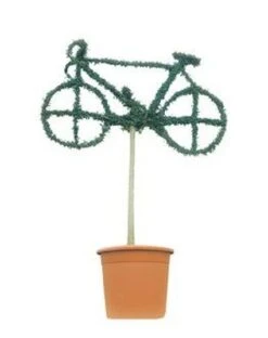 Bicycle (Ligustrum Delavayanum)