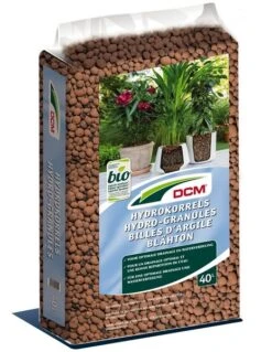 DCM Hydrokorrels -Green Roots Exporteren Winkel 5413448053005