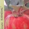 Appelboom (Malus Domestica 'Karneval')