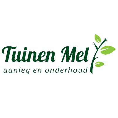 Green Roots Exporteren Winkel